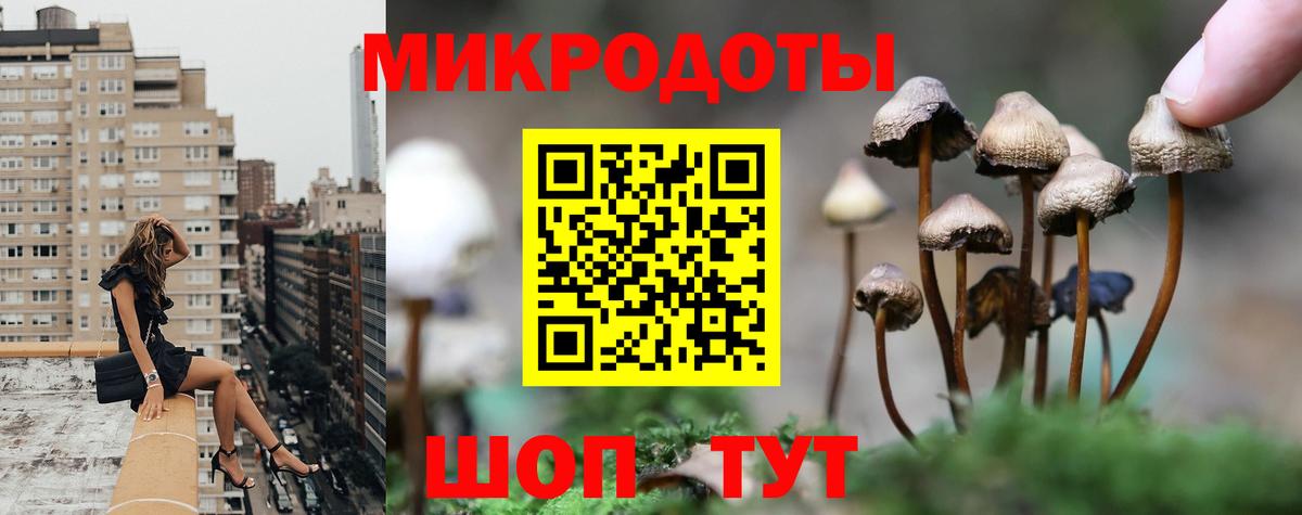 Комсомольск-на-Амуре  Псилоцибиновые грибы прущие грибы  Вход с VPN  Псилоцибиновые грибы Psilocybine cubensis 